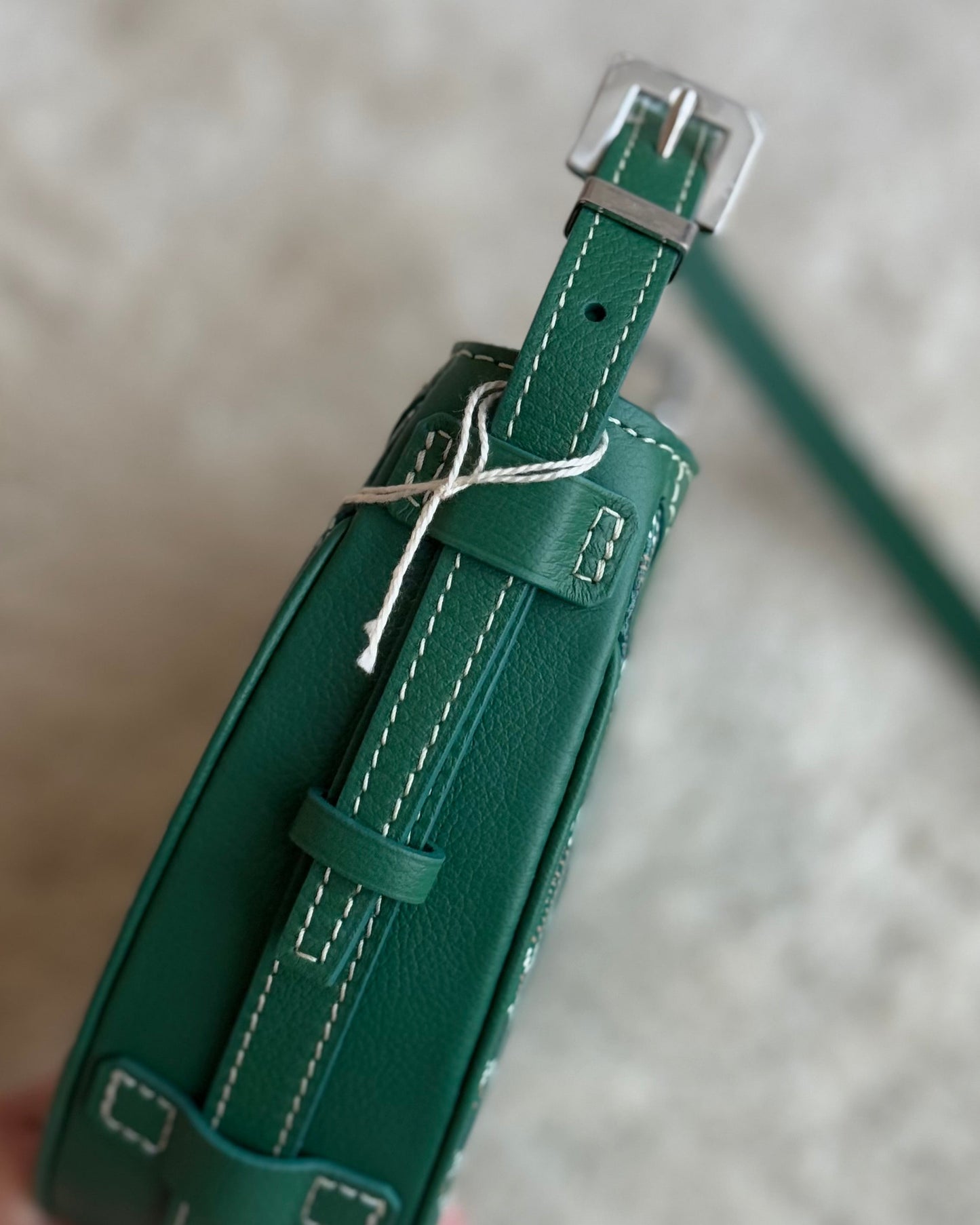Goyard Hirondelle Bag